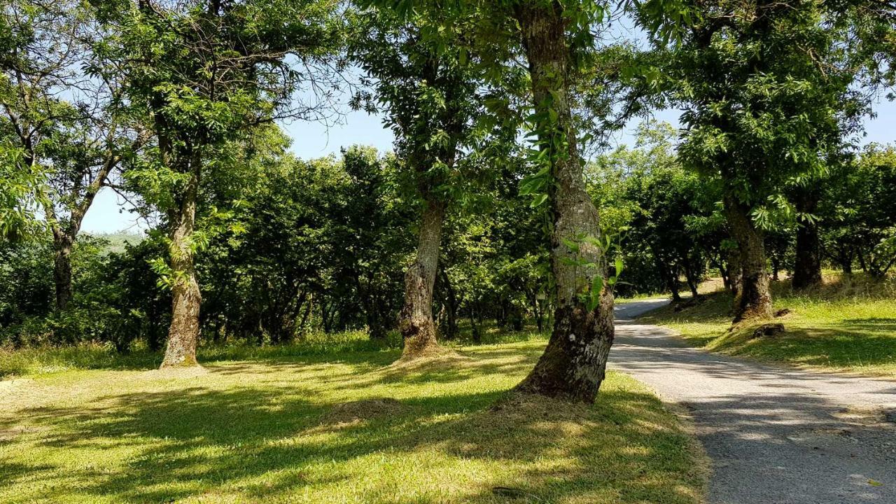 Agriturismo Ricciardelli Villa Contrada  Luaran gambar